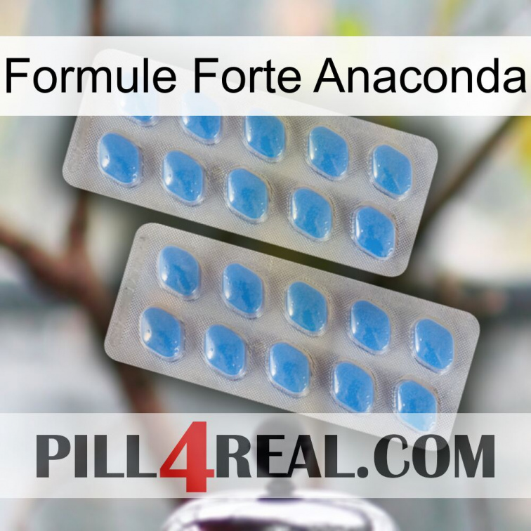 Anaconda Strong Formula 23